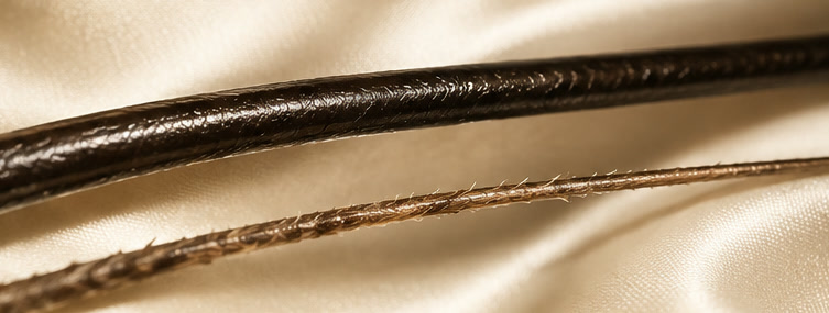 Macro of two hair strands side by side: one thick and glossy, one thin and fragile
